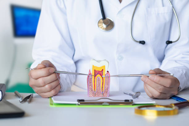 Best Emergency Denture Repair in Meeker, CO